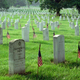 Illustration for article titled The Recovery of War Dead Across the World